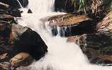 玉龍?jiān)?、響水?></a></dd>
  <dd>
	 

	

	 

	　　雨母山西北一個山皂，東西縱向長達(dá)1公里。有叫玉龍?jiān)?，有叫響水皂。該皂有響水泉和響水瀑布。在玉龍?jiān)砼c九龍沖相隔的山坳，叫玉龍騰山坳，簡稱玉龍坳。玉龍土皂現(xiàn)駐有供電所、林場和蒸湘區(qū)黨校。在玉龍?jiān)淼?，有一泉臺，叫玉龍臺。...[<a href=