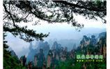 【純玩獨(dú)立成團(tuán)線路1】張家界、袁家界、天子山、寶峰湖/黃龍洞二晚三日