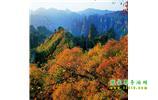 長沙往返張家界、天子山、寶峰湖/黃龍洞三日游