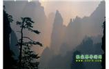 張家界國家森林公園、寶峰湖/黃龍洞、鳳凰古城、三峽八日游