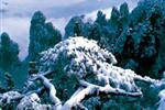 【純玩拼團線路18】下午班：鳳凰古城、張家界、天子山三晚四日游
