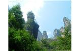 【純玩拼團(tuán)線路 張家界出發(fā)A2線】張家界、袁家界、天子山、金鞭溪、鳳凰古城2晚3日游